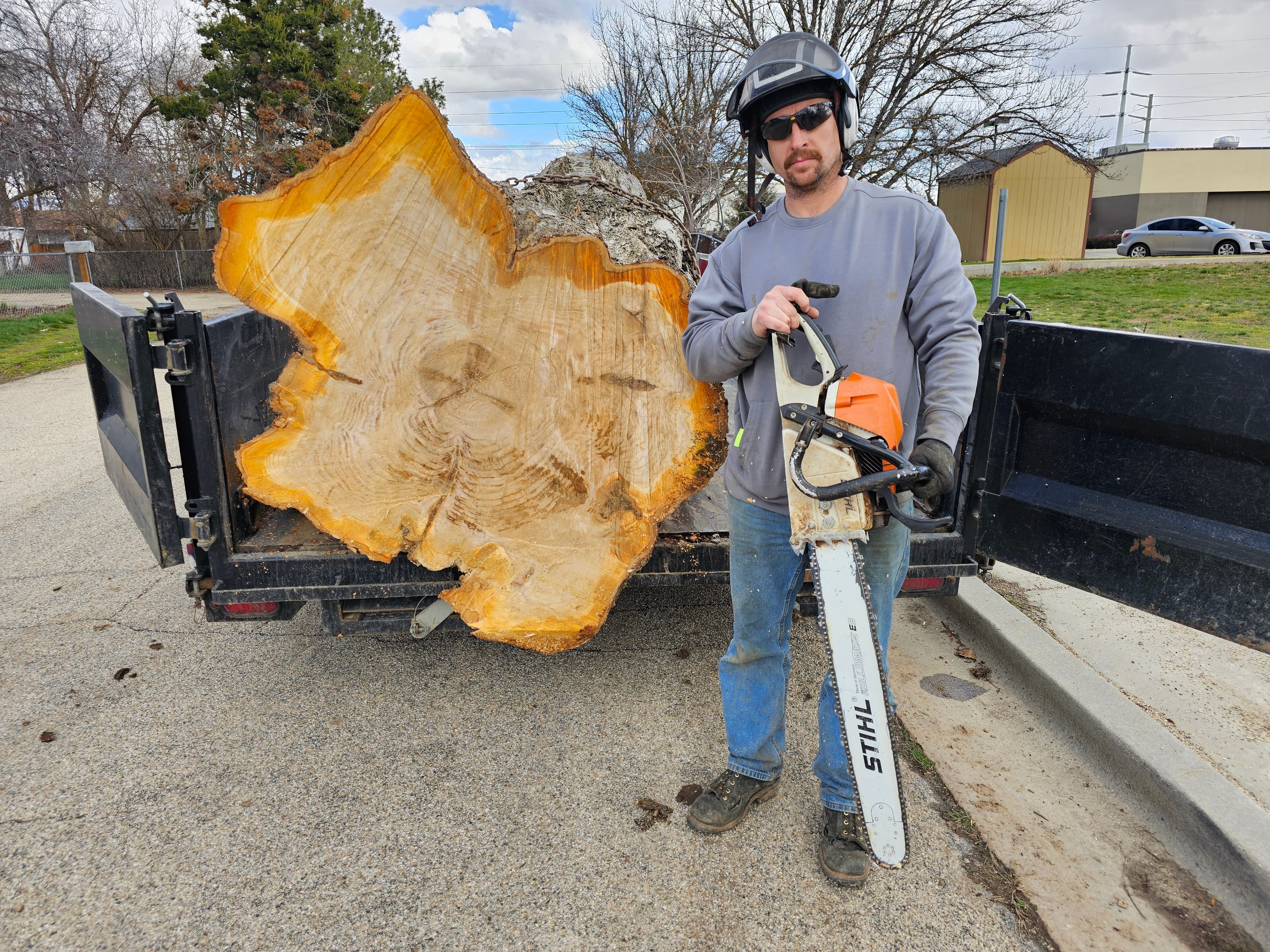 Tree Dweller Services work